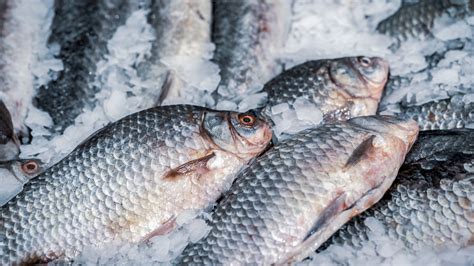 cheap fish food|8 Cheap Fish To Buy And 8 To Avoid .
